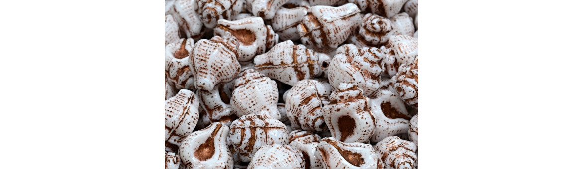Murex Shell Beads 15x12mm