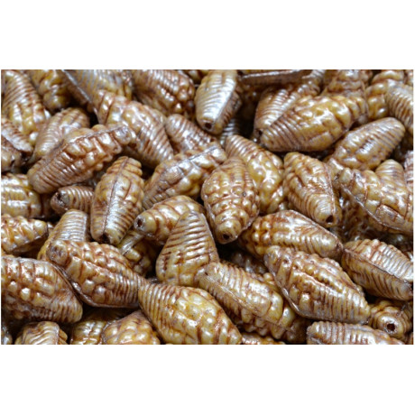 Perline Conchiglia Miter 16x8 mm