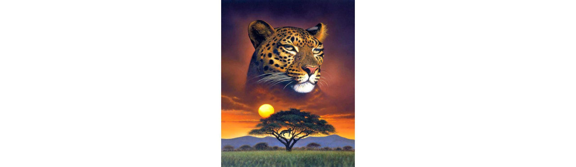 Kits Diamond Painting | Arte Brillante | BeadsBohemia