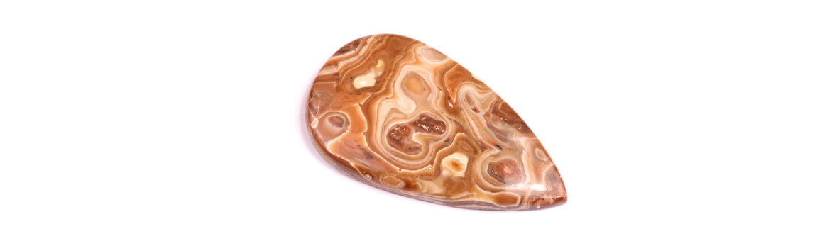 Cabochons Wood Schalenblende | BeadsBohemia