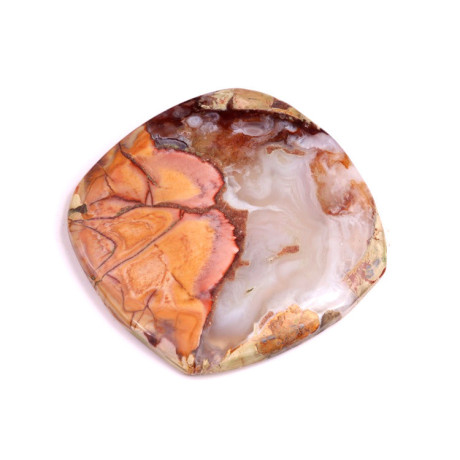 Butterfly Jasper