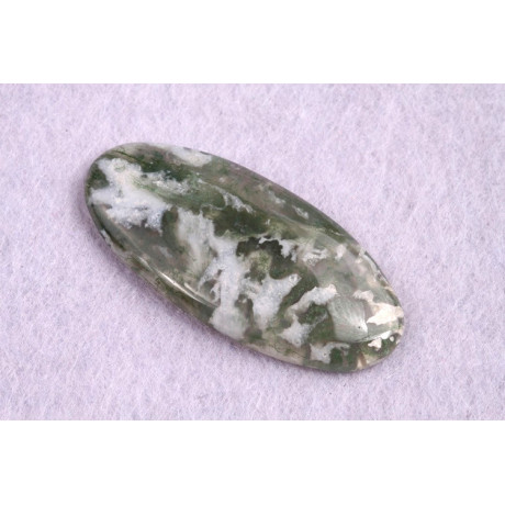 Tree Agate