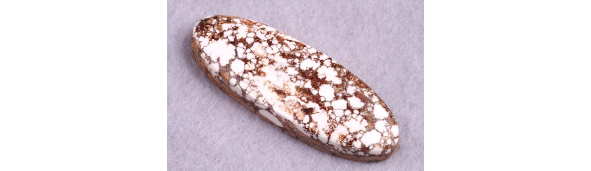 Cabochons Jaspe Cheval Sauvage | BeadsBohemia