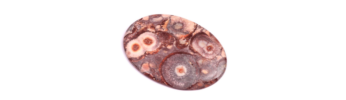 Cabochons Jaspe Oeil d'Oiseau | BeadsBohemia