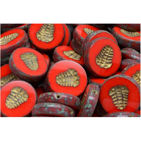 Perle Moneta Trilobite 17x17 mm